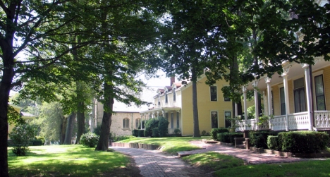 The yellow houses of Nolan Park are home to a variety of programs and exhibitions this summer. Image courtesy of the Trust. 